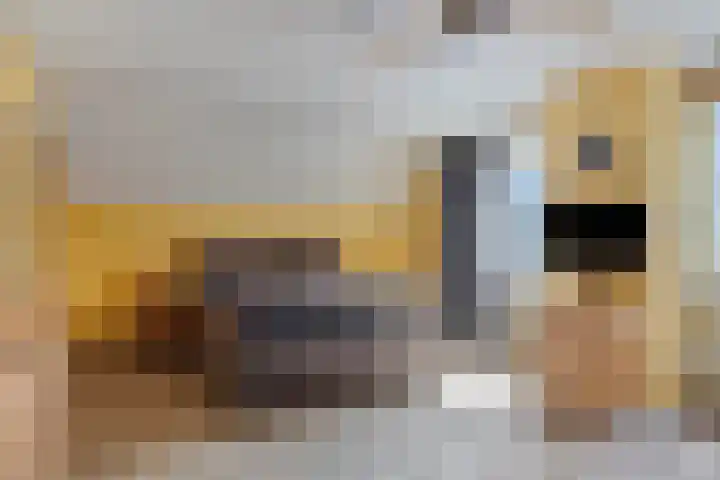 De Braak 11 Zevenbergen thumbnail 23