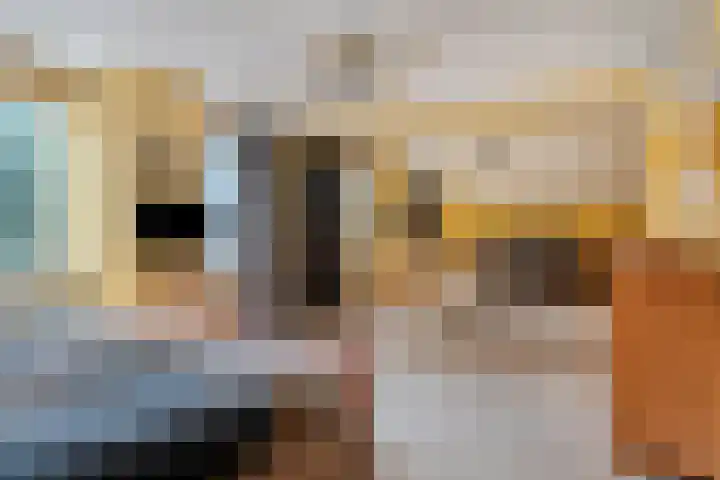 De Braak 11 Zevenbergen thumbnail 24