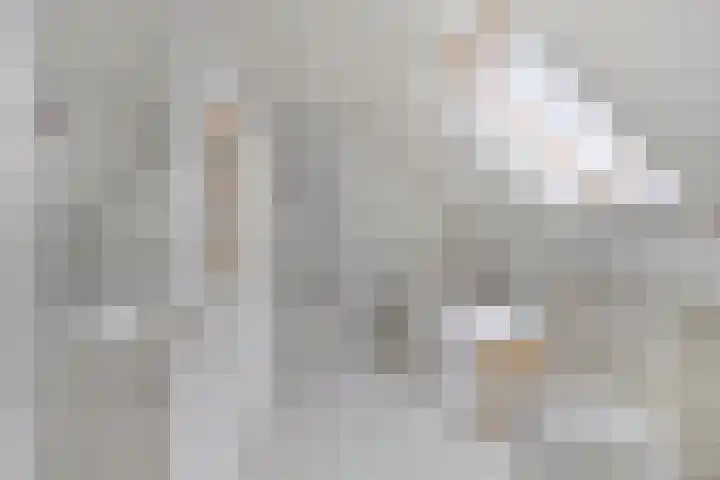 De Braak 11 Zevenbergen thumbnail 26