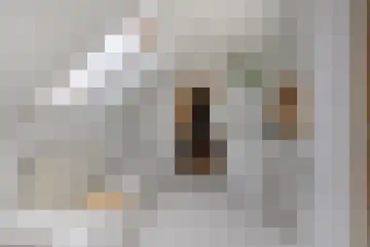 De Braak 11 Zevenbergen thumbnail 27