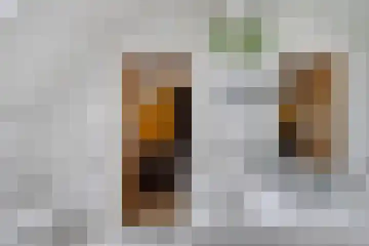 De Braak 11 Zevenbergen thumbnail 28