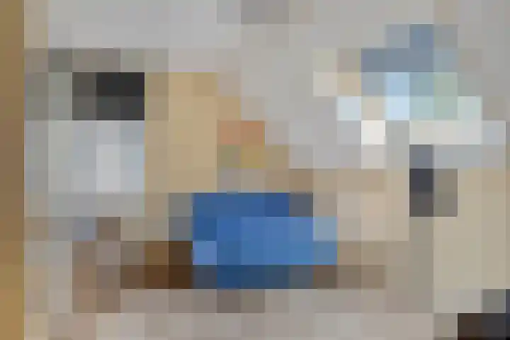 De Braak 11 Zevenbergen thumbnail 31