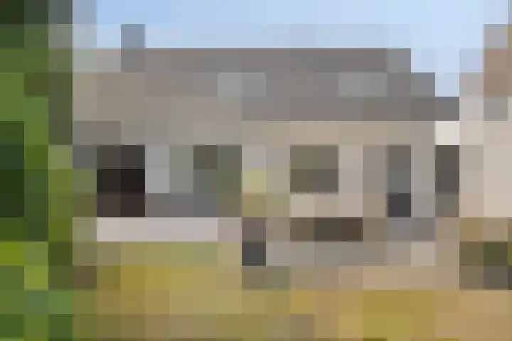 De Braak 11 Zevenbergen thumbnail 37