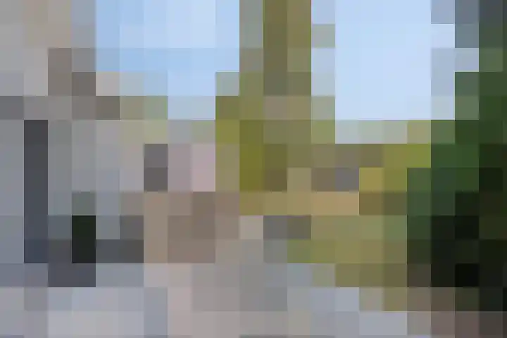 De Braak 11 Zevenbergen thumbnail 38