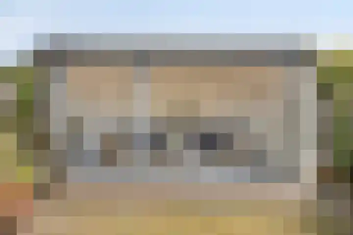 De Braak 11 Zevenbergen thumbnail 39
