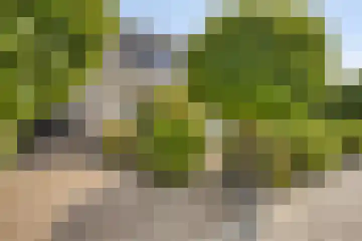 De Braak 11 Zevenbergen thumbnail 4