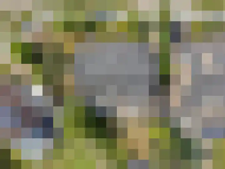 De Braak 11 Zevenbergen thumbnail 41