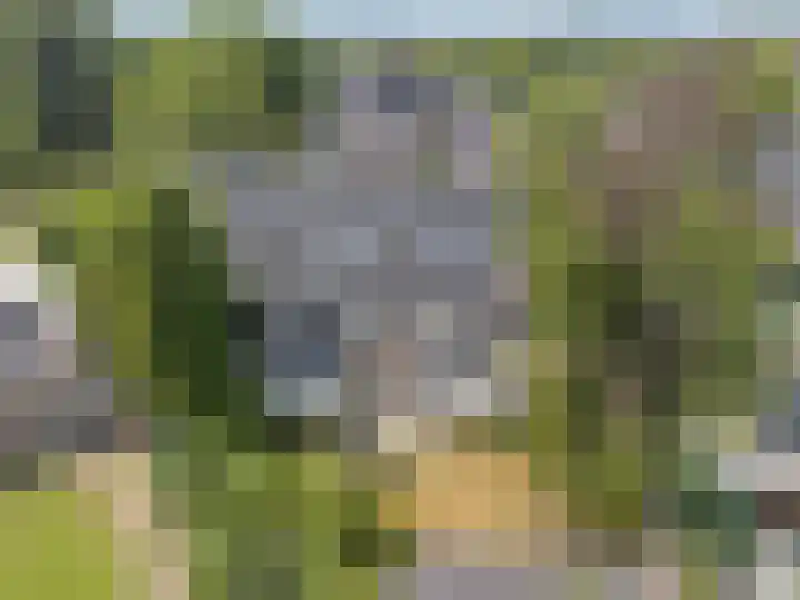 De Braak 11 Zevenbergen thumbnail 42