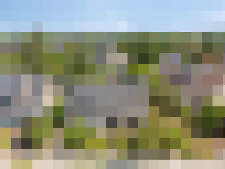 De Braak 11 Zevenbergen thumbnail 43