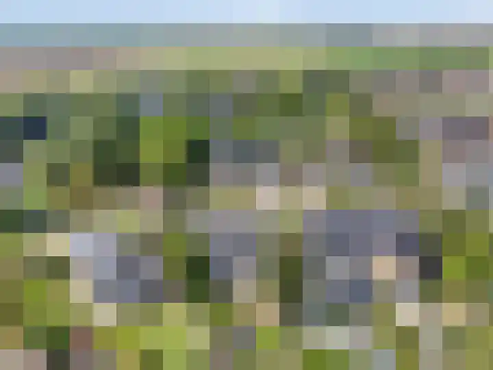 De Braak 11 Zevenbergen thumbnail 44