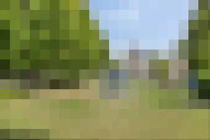 De Braak 11 Zevenbergen thumbnail 45