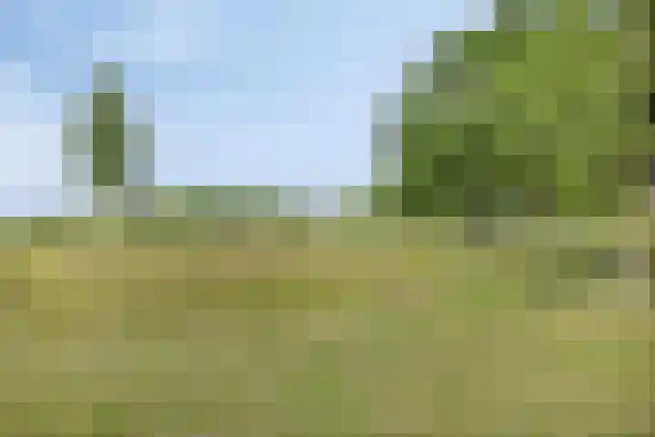 De Braak 11 Zevenbergen thumbnail 46