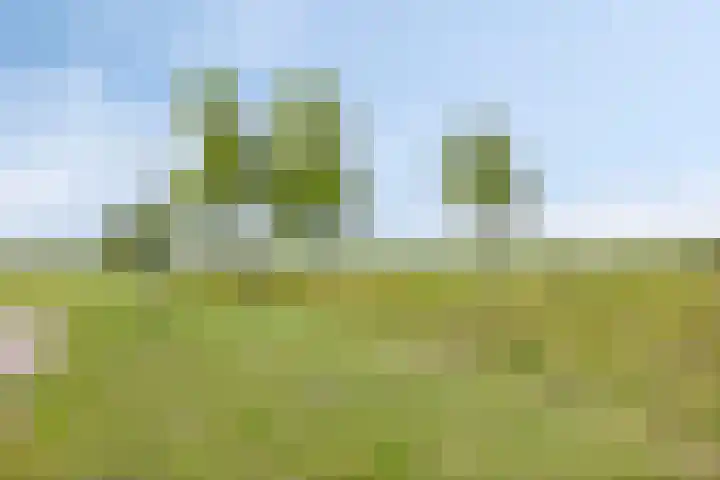 De Braak 11 Zevenbergen thumbnail 47