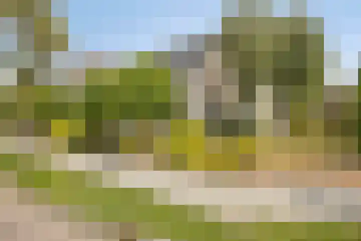 De Braak 11 Zevenbergen thumbnail 5