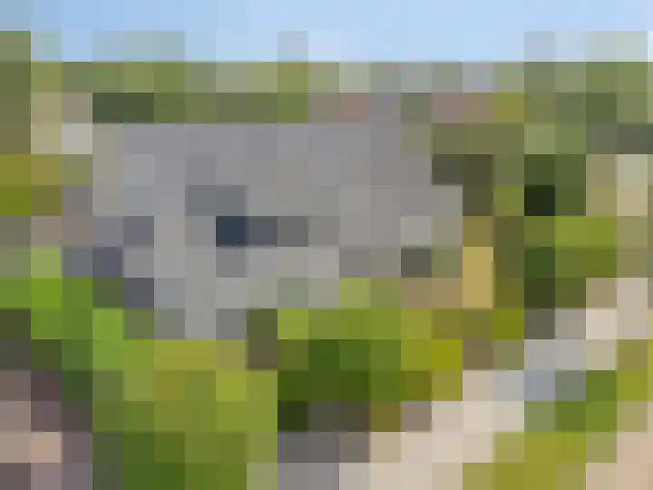 De Braak 11 Zevenbergen thumbnail 52