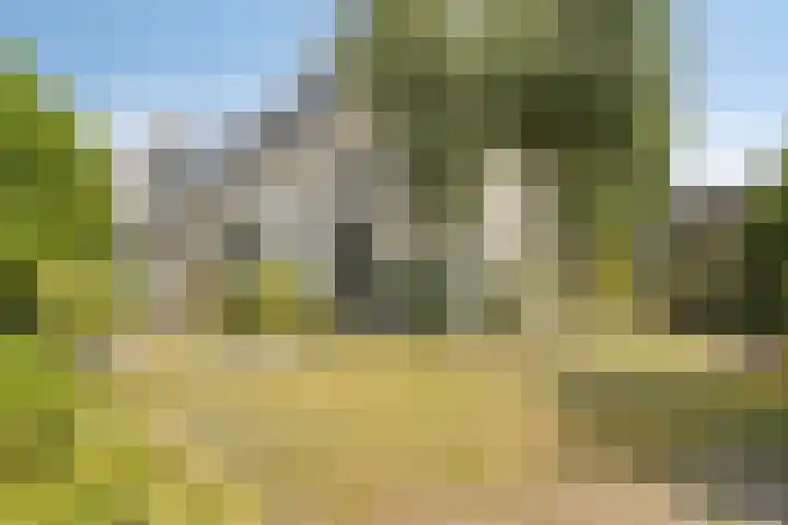 De Braak 11 Zevenbergen thumbnail 6