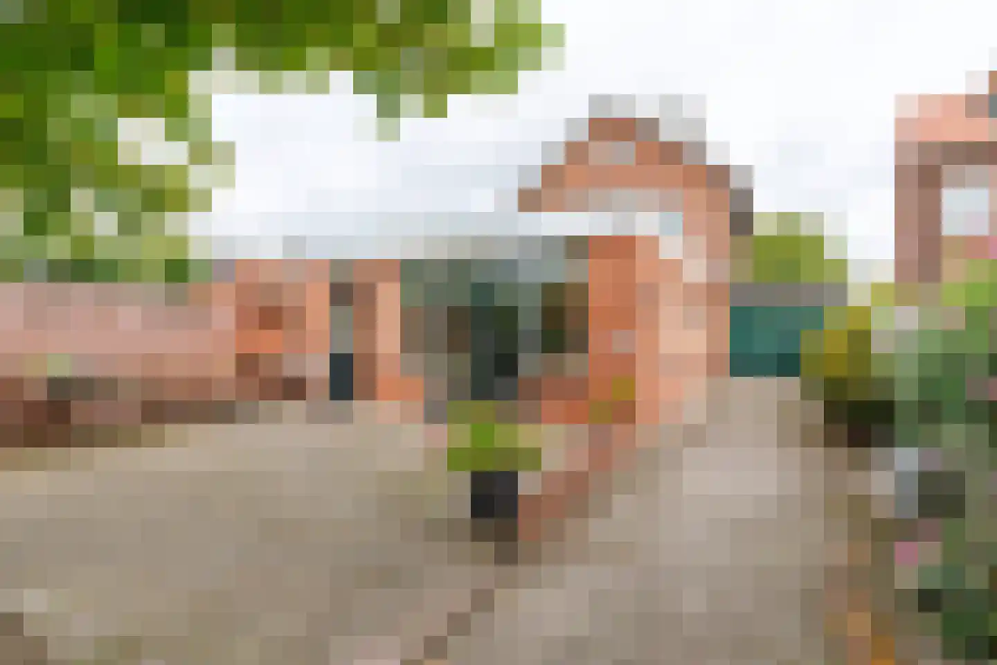de Braak 113 Haaksbergen thumbnail 11