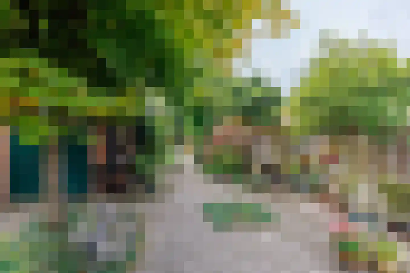 de Braak 113 Haaksbergen thumbnail 12