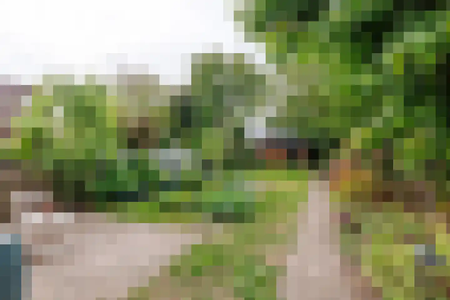 de Braak 113 Haaksbergen thumbnail 13