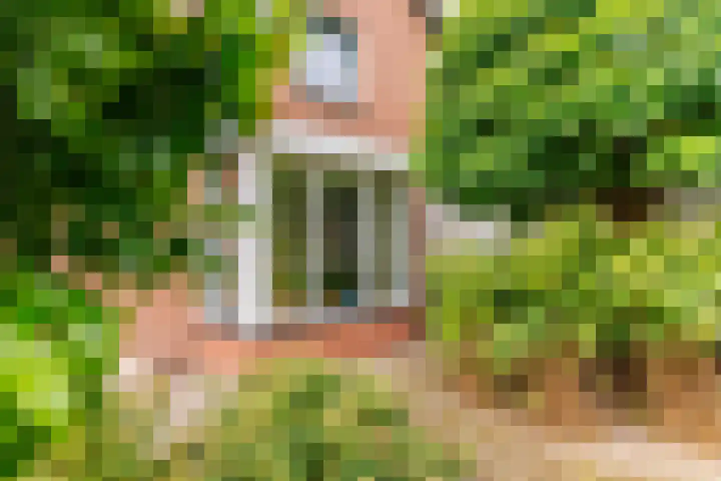 de Braak 113 Haaksbergen thumbnail 14