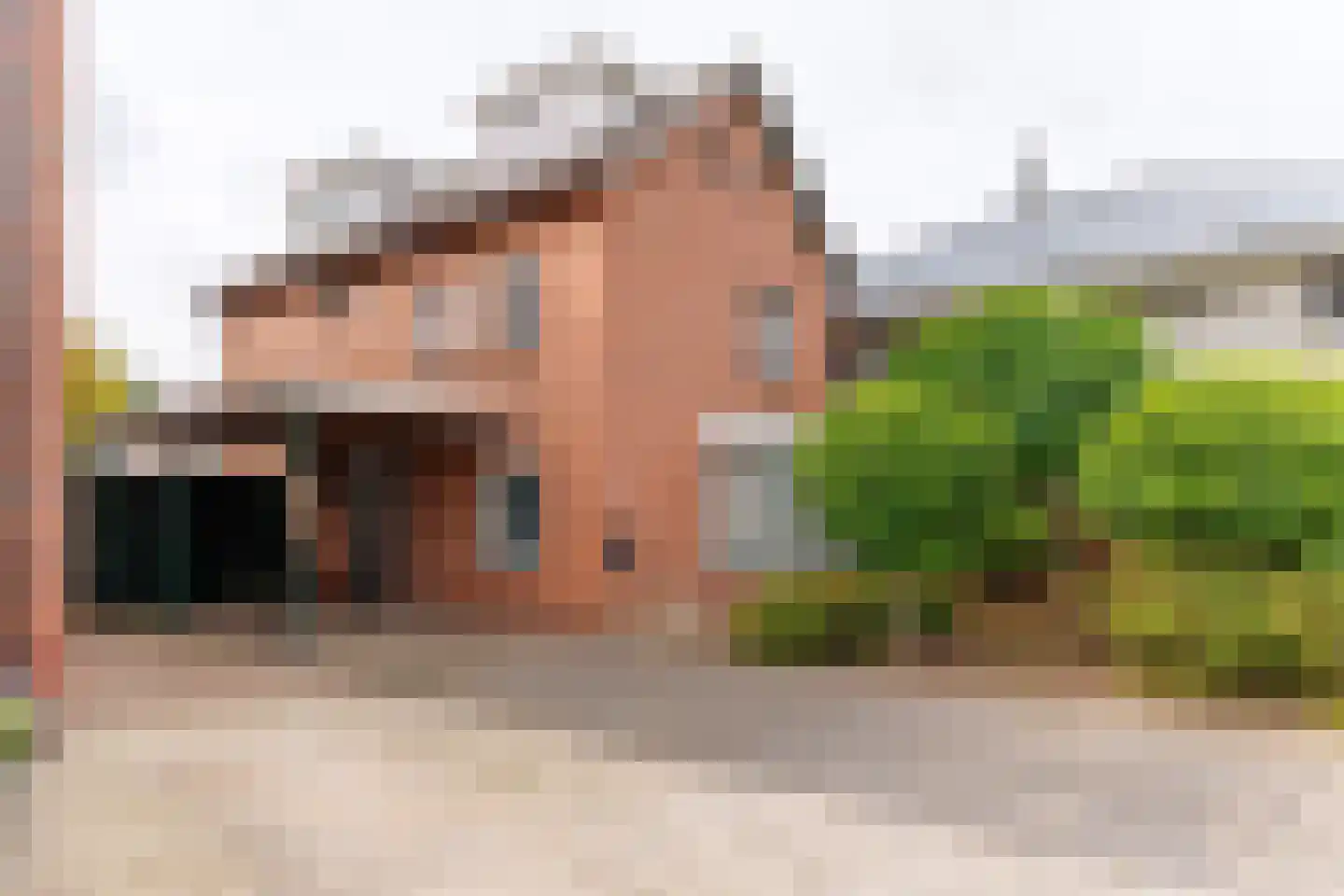 de Braak 113 Haaksbergen thumbnail 15