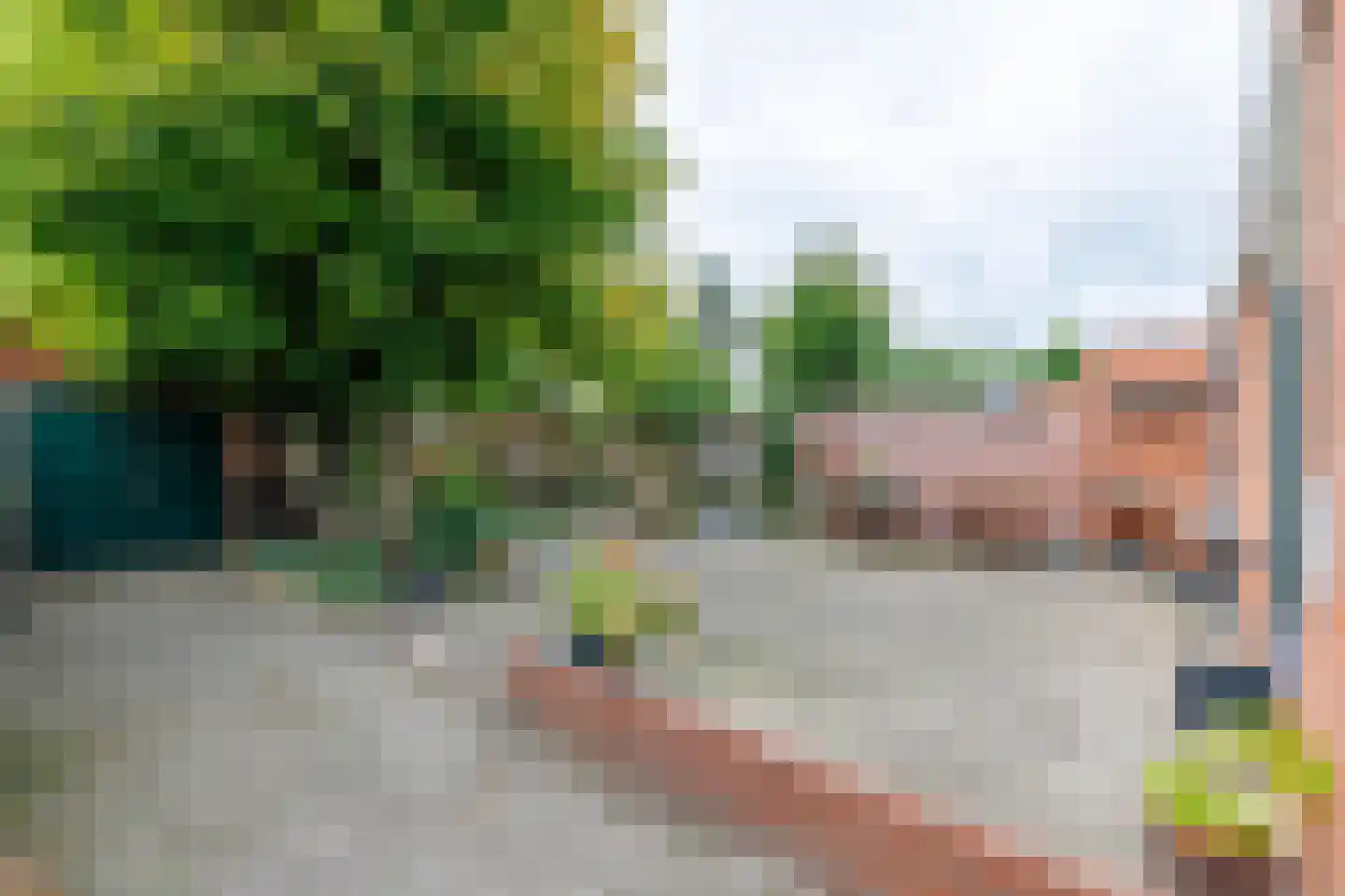 de Braak 113 Haaksbergen thumbnail 62
