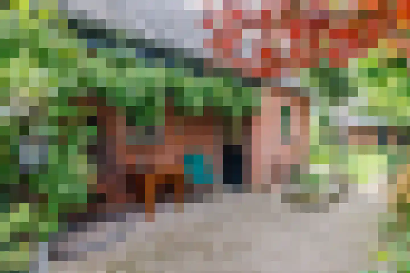 de Braak 113 Haaksbergen thumbnail 63