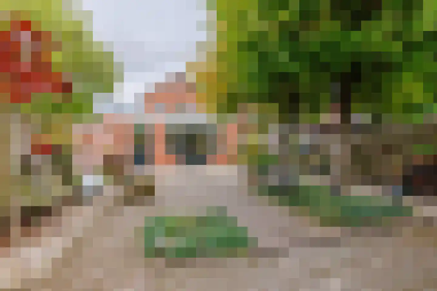 de Braak 113 Haaksbergen thumbnail 64