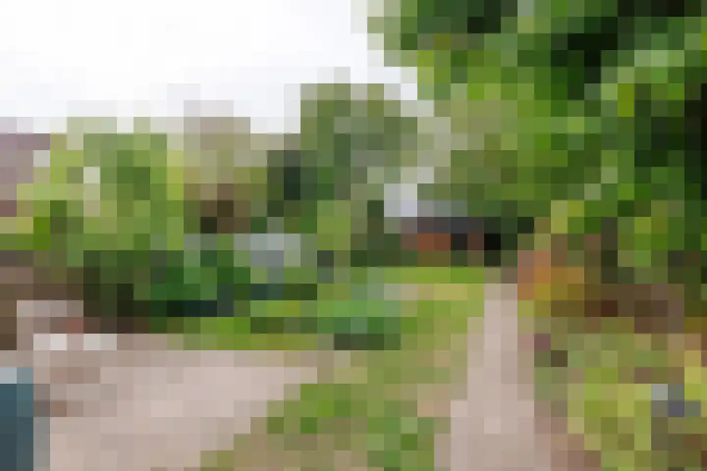 de Braak 113 Haaksbergen thumbnail 65