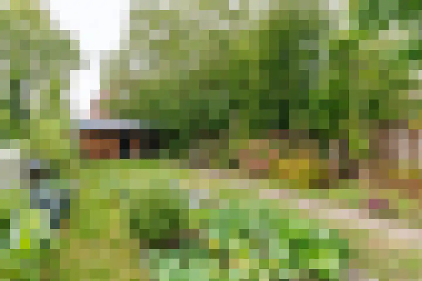 de Braak 113 Haaksbergen thumbnail 66