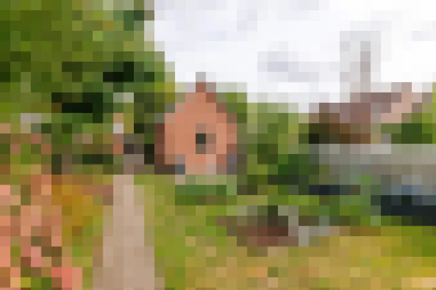 de Braak 113 Haaksbergen thumbnail 67