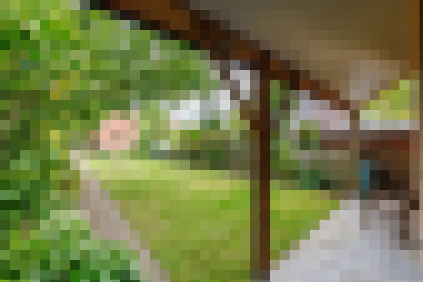 de Braak 113 Haaksbergen thumbnail 71