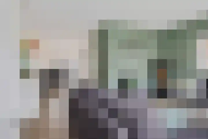 de Braak 14 Haaksbergen thumbnail 10