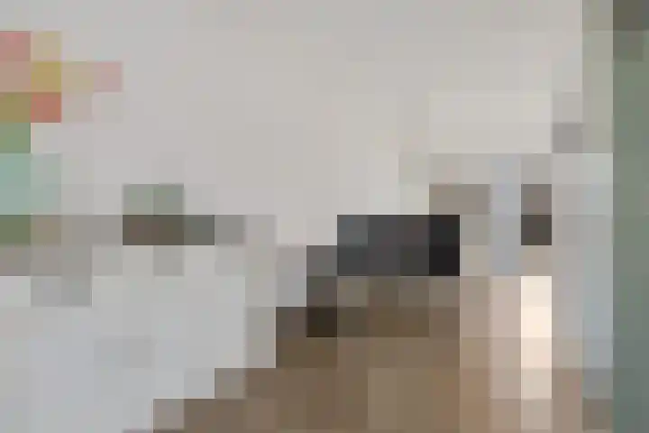 de Braak 14 Haaksbergen thumbnail 11