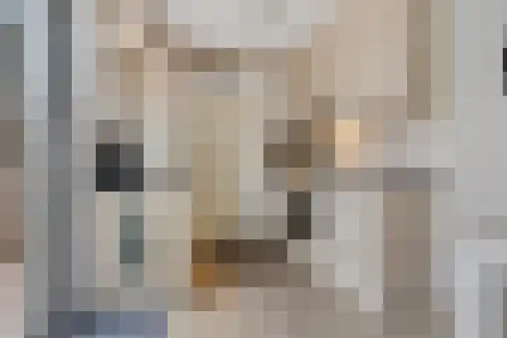 de Braak 14 Haaksbergen thumbnail 13