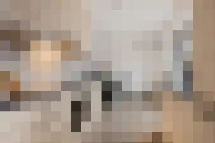 de Braak 14 Haaksbergen thumbnail 14