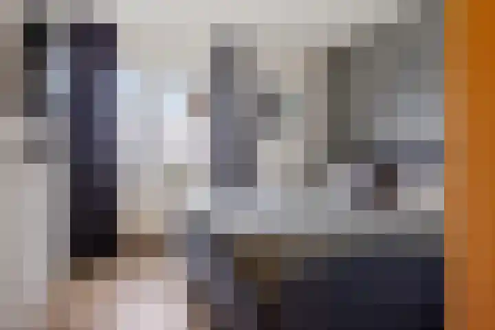 de Braak 14 Haaksbergen thumbnail 15