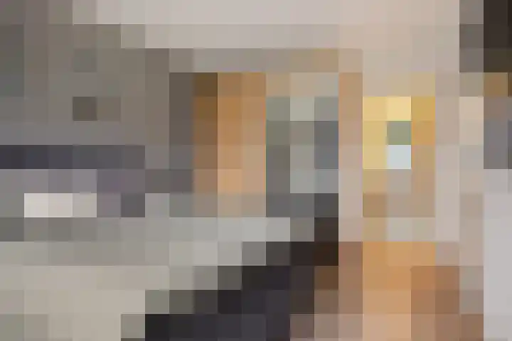 de Braak 14 Haaksbergen thumbnail 17