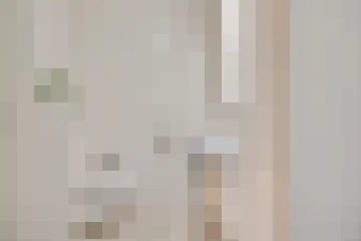 de Braak 14 Haaksbergen thumbnail 18