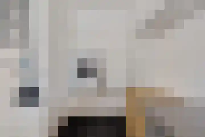 de Braak 14 Haaksbergen thumbnail 21