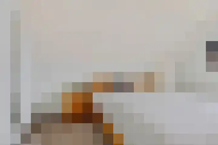 de Braak 14 Haaksbergen thumbnail 26