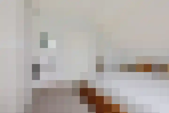de Braak 14 Haaksbergen thumbnail 27