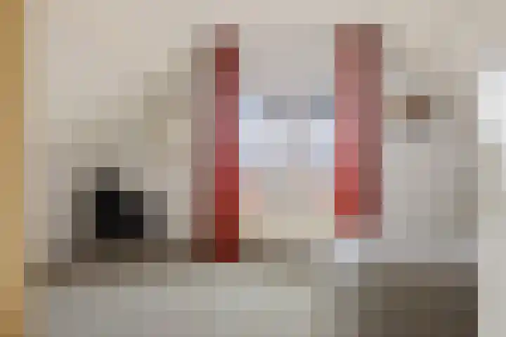 de Braak 14 Haaksbergen thumbnail 29