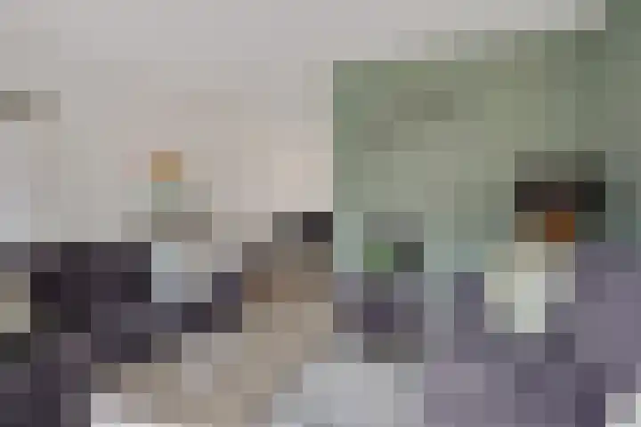 de Braak 14 Haaksbergen thumbnail 9