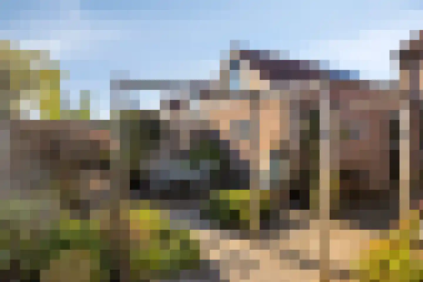 de Braak 18 Haaksbergen thumbnail 7
