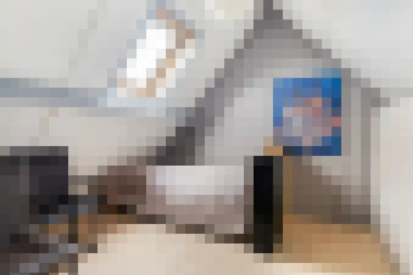 De Braak 5 Menaam thumbnail 11
