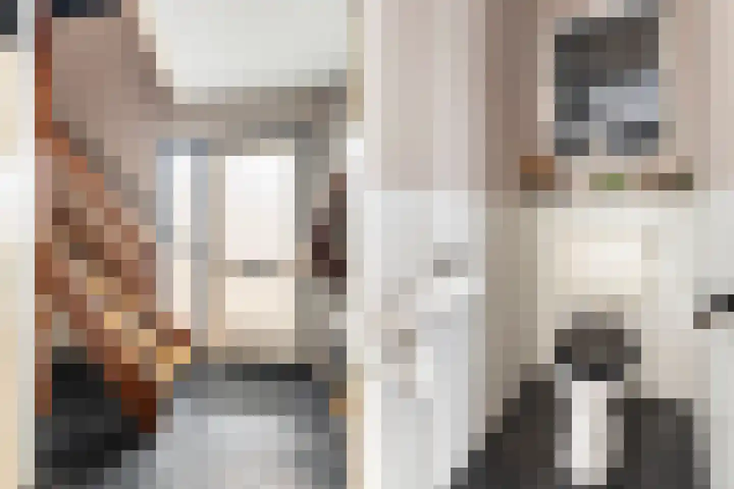 De Braak 5 Menaam thumbnail 20
