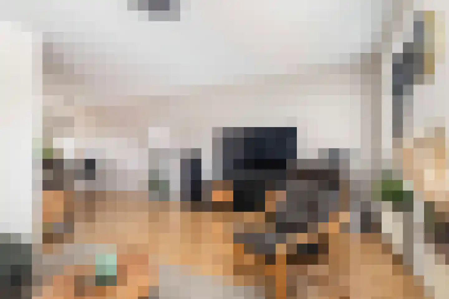 De Braak 5 Menaam thumbnail 22
