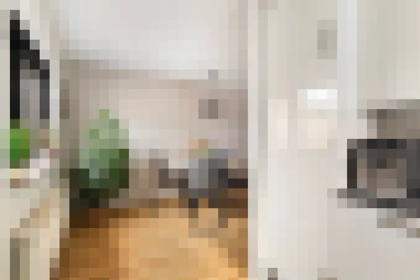 De Braak 5 Menaam thumbnail 27