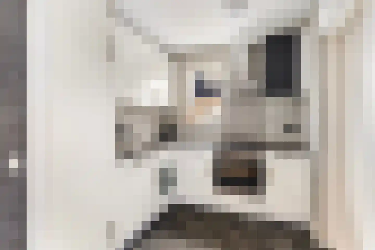 De Braak 5 Menaam thumbnail 28